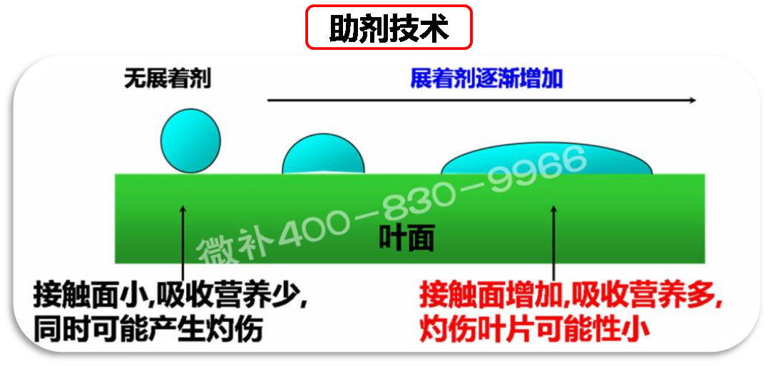 余教授德國(guó)鄉(xiāng)村行：我在德國(guó)為什么不會(huì)點(diǎn)啤酒了？